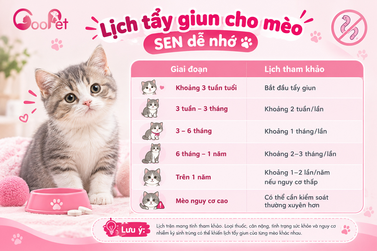 Lịch tẩy giun cho mèo SEN tham khảo